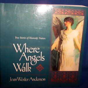 Where Angels Walk by Joan Wester Anderson (1993, Paperback Book)